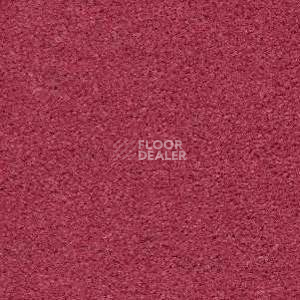 Ковролин Radici Montecarlo 7 фото 1 | FLOORDEALER