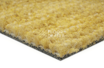 Desso Grain 6116 фото 5 | FLOORDEALER