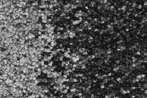 Ковровая плитка Balsan Nexus Link 919 фото  | FLOORDEALER
