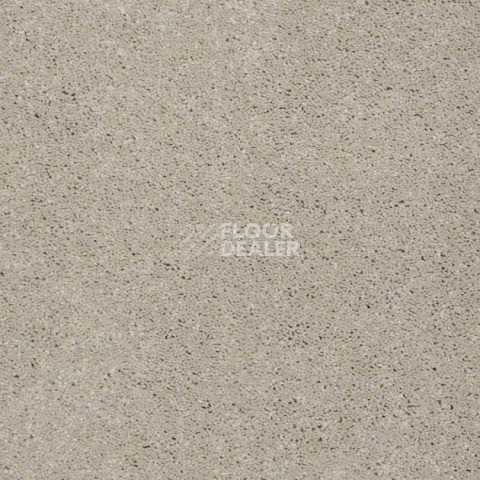 Ковролин Shaw Design Texture Platinum 109 фото 1 | FLOORDEALER