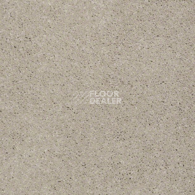 Ковролин Shaw Design Texture Platinum 109 фото 1 | FLOORDEALER