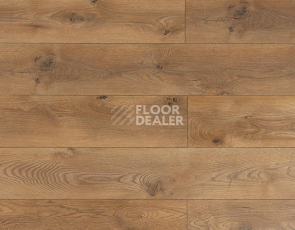 Ламинат My Step Mega 12 ms 2912 Дуб Кёльн фото 1 | FLOORDEALER