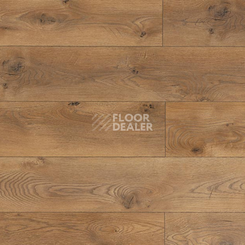 Ламинат My Step Mega 12 ms 2912 Дуб Кёльн фото 1 | FLOORDEALER