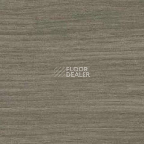 Плинтус Dollken EP 60/13 2447 фото 2 | FLOORDEALER