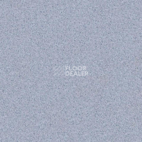 Линолеум Tarkett Primo Plus 308 фото 1 | FLOORDEALER