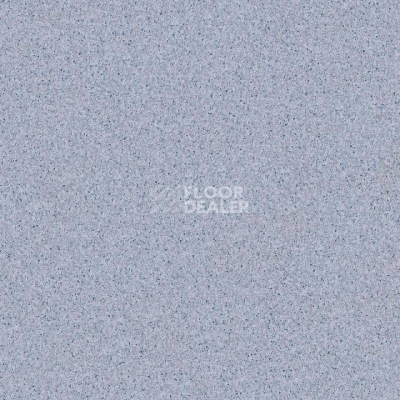 Линолеум Tarkett Primo Plus 308 фото 1 | FLOORDEALER