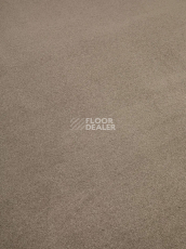 Condor Stockholm 492 фото 15 | FLOORDEALER