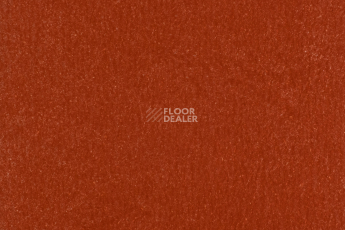 Линолеум Forbo Marmoleum Solid Walton 3352-335235 Berlin red фото 1 | FLOORDEALER