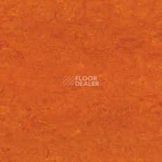 Линолеум Gerflor Marmorette DLW  2mm 0117 Mandarin Orange фото 1 | FLOORDEALER