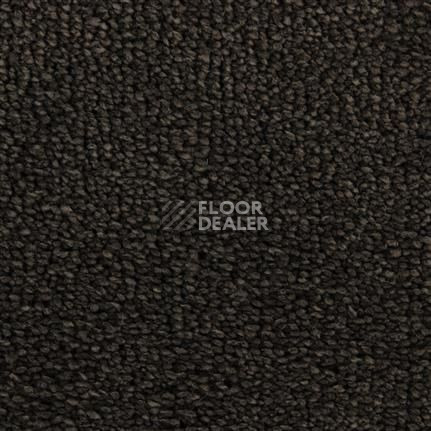 Ковролин Edel Tamino 173 фото 1 | FLOORDEALER