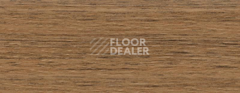 Плинтус Dollken EP 60/13 2636 фото 2 | FLOORDEALER