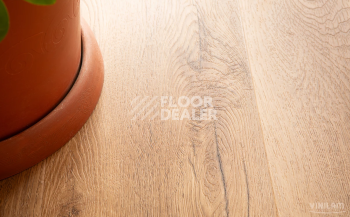 Vinilam Cork Premium Click 8мм 33808 Дуб Витория фото 3 | FLOORDEALER