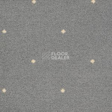 Ковролин Big Fidenza 140 фото 1 | FLOORDEALER