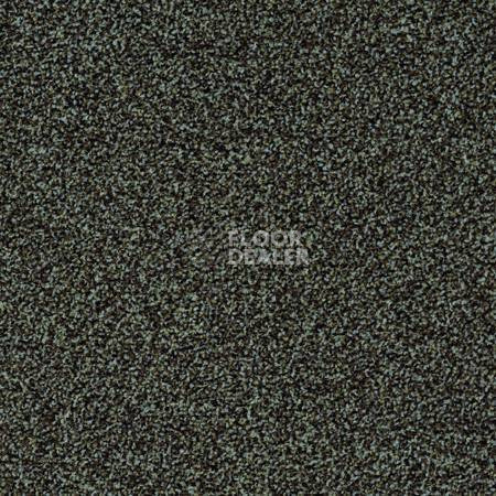 Ковролин Desso Torso-Brlm 4021 фото 1 | FLOORDEALER