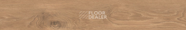 Керамогранит Cocoon 20 X 120 Joy фото 1 | FLOORDEALER
