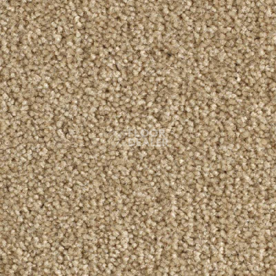 Ковролин Balsan Scenario 640 фото 1 | FLOORDEALER