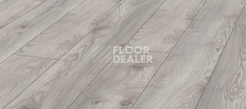 Ламинат Kronotex Mammut Plus d4793 Дуб Белый Макро фото 1 | FLOORDEALER
