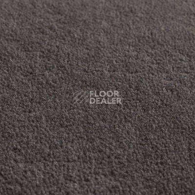 Ковролин Jacaranda Carpets Jaspur Night фото 1 | FLOORDEALER