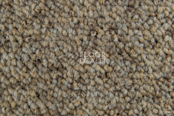 Balsan Season - Summer / Winter 640 фото 2 | FLOORDEALER