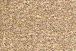 Ковролин Emphatic Beaulieu of America 56110 фото  | FLOORDEALER