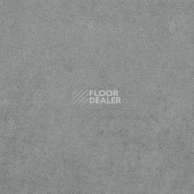 Линолеум Gerflor Taralay Initial Compact (Plain & allover look) 0964 Miami Souris фото 1 | FLOORDEALER