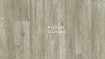 Линолеум Tarkett Idylle Nova Brut 2 фото 1 | FLOORDEALER
