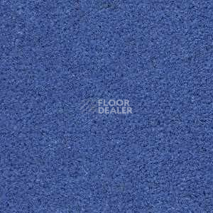 Ковролин Radici Montecarlo 34 фото 1 | FLOORDEALER