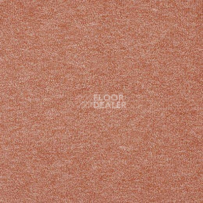 Ковролин Lano Godiva 315 фото 1 | FLOORDEALER