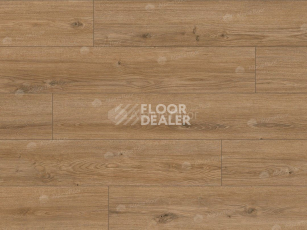 Classen Arteo 8 M 62754 Дуб Катам фото 5 | FLOORDEALER
