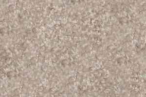 Ковролин Hidden Treasure Beaulie of America Natural 29 фото  | FLOORDEALER