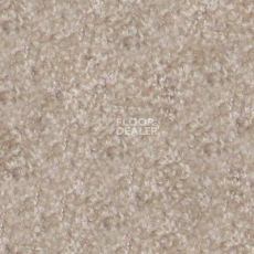 Ковролин Hidden Treasure Beaulie of America Natural 29 фото 1 | FLOORDEALER