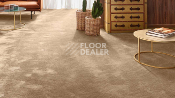 Vorwerk Exclusive 1060 Safira 7g61 фото 2 | FLOORDEALER