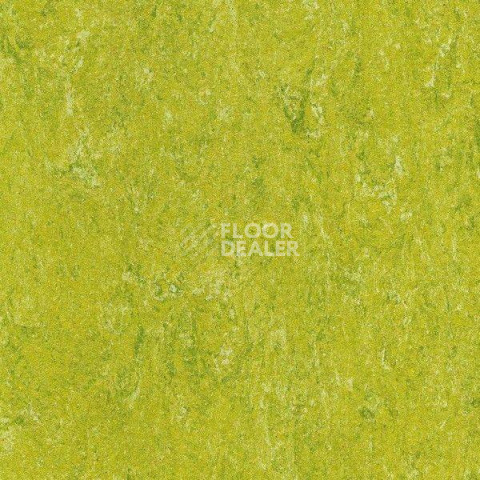 Линолеум Gerflor Marmorette DLW 2.5mm 121-132 фото 1 | FLOORDEALER