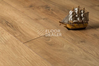 Kronopol Platinium Marine d3787 Дуб Балтика фото 4 | FLOORDEALER