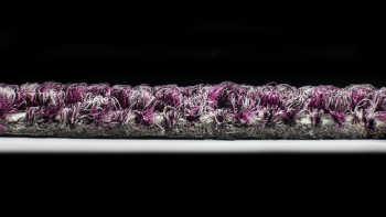 InnovFlor Illusion f 16 фото 3 | FLOORDEALER