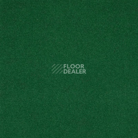 Ковролин Tarkett Enter Enter 52510 фото 1 | FLOORDEALER