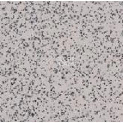 Линолеум Apoluza SportFloor PVC Emery Safety BXSF20-7201 фото 1 | FLOORDEALER