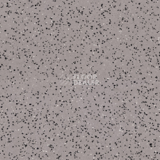 Линолеум Tarkett iq Era sc 801 фото 1 | FLOORDEALER