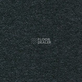 Ковролин AW Hermes 74 фото 1 | FLOORDEALER