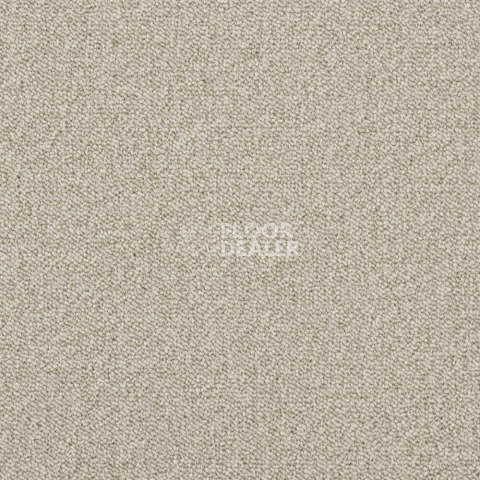 Ковролин Associated Weavers Maxima 33 фото 1 | FLOORDEALER