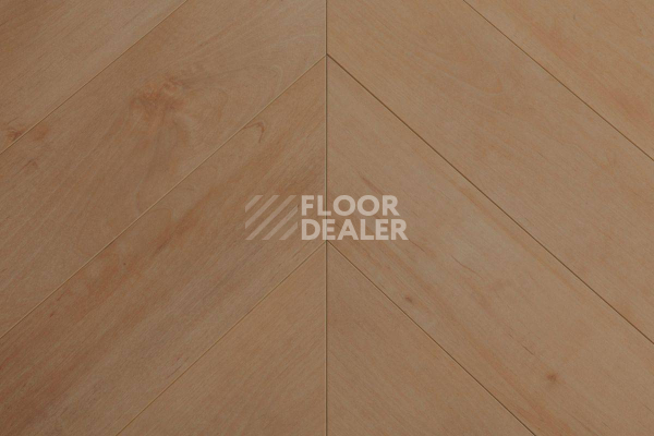 Ламинат Biela Cbm Ostrost 507 A / C  Дуб Тепла фото 1 | FLOORDEALER