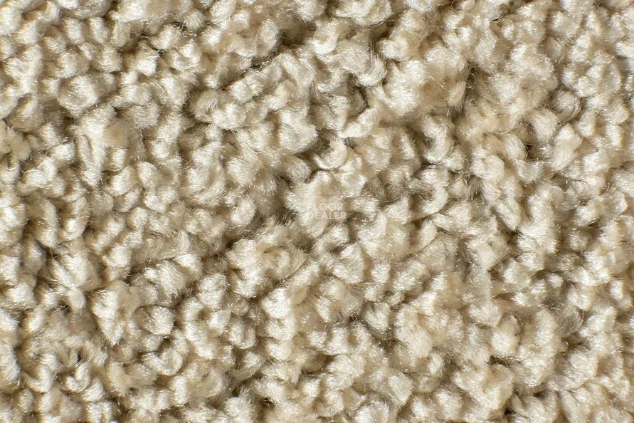 AW Masquerade Porzia 39 фото 3 | FLOORDEALER