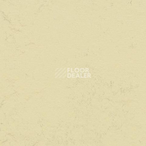 Кварцвиниловые полы Forbo Marmoleum Modular Shade 3722 фото 1 | FLOORDEALER