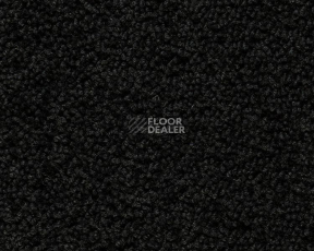 Ковролин Best Wool Pure Palace Lux 179 фото 1 | FLOORDEALER