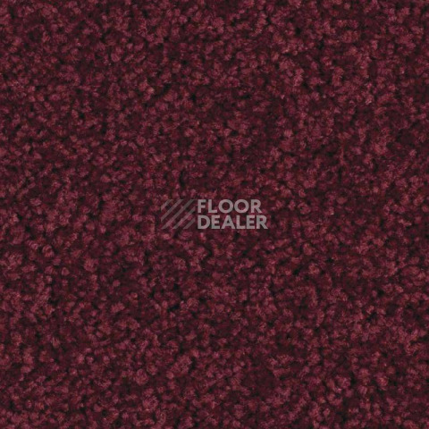 Ковролин Balsan Serenite 590 фото 1 | FLOORDEALER