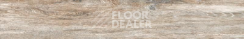 Керамогранит Brigantina ( Бригантина ) Керамогранит 19,4x120x10 bg 00 19,4x120x10 Непол.Рект. (Керамический гранит) фото 1 | FLOORDEALER