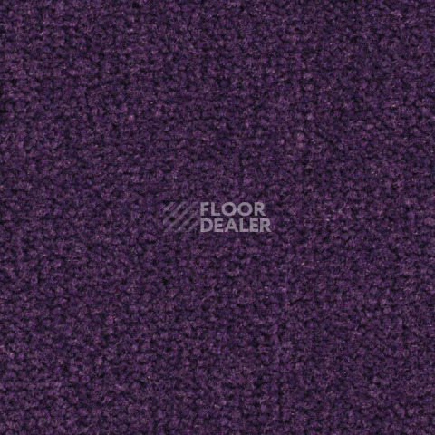 Ковролин Balsan Les Best S 899 фото 1 | FLOORDEALER