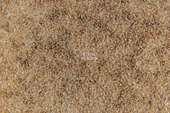 Forbo Flotex Colour Calgary 50*50 t 590007 Calgary Suede фото 2 | FLOORDEALER