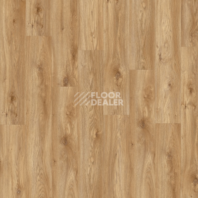 Кварцвиниловые полы Moduleo Roots 0.55 EIR дерево SIERRA OAK 58346Q фото 1 | FLOORDEALER