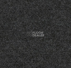 Ковролин Forbo Flotex wonderlab 07 900269 Carbon фото 1 | FLOORDEALER